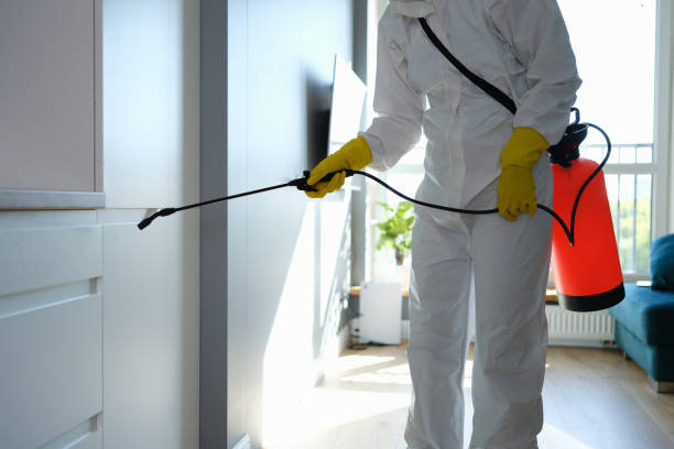 Best Home Mold Removal  in Nanawale Estates, HI