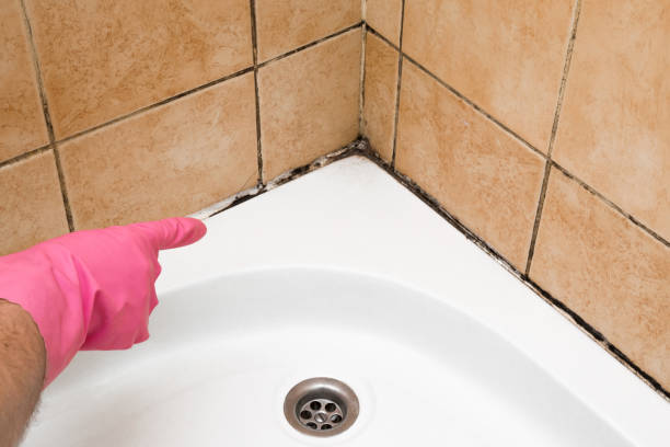 Best Mold Cleaning Services  in Nanawale Estates, HI